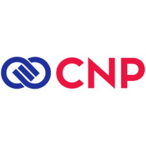 Logo PT Citra Niaga Persada